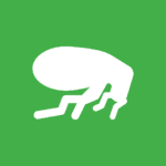white flea vector graphic on green background